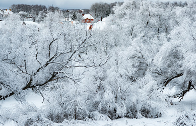 Similar image 19189720