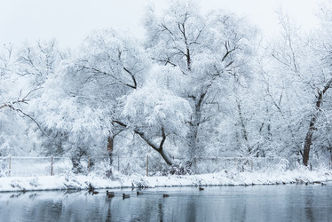 Similar image 19189734