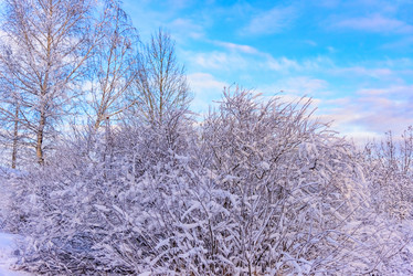 Similar image 19189737