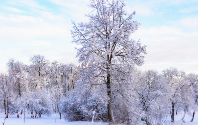 Similar image 19189738