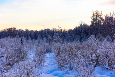 Similar image 19189753