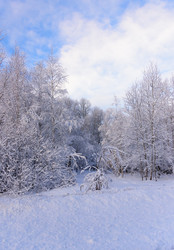 Similar image 19189756