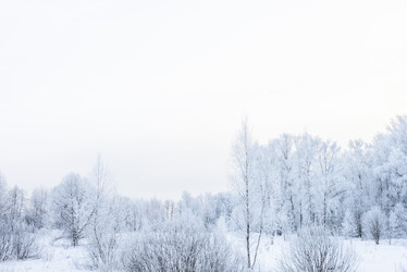 Similar image 19189086