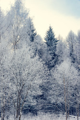 Similar image 19189100