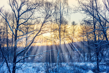 Similar image 19189117