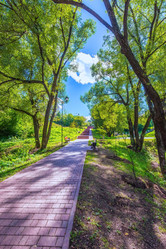 Similar image 19189119