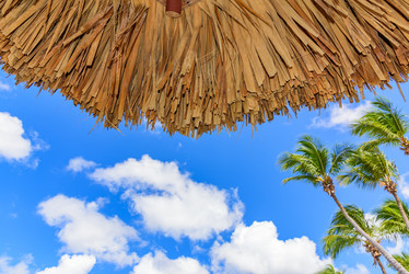 Similar image 19189153