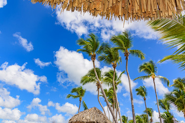 Similar image 19189154