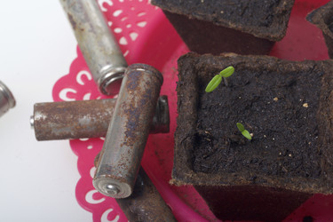 Similar image 19775050