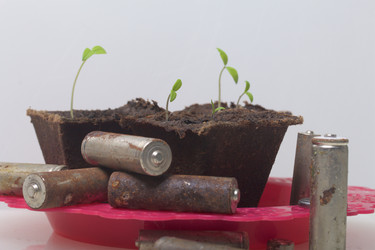 Similar image 19775051