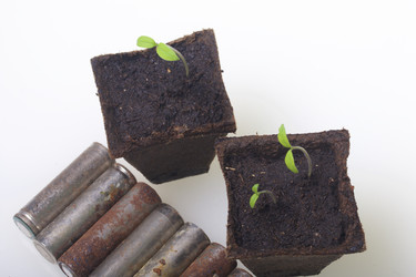 Similar image 19775088