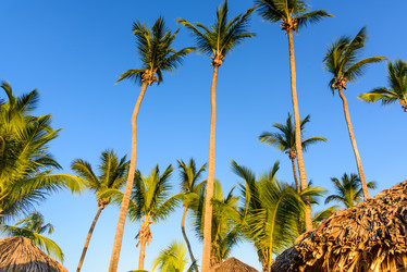 Similar image 19188630