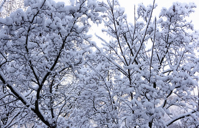 Similar image 19188636