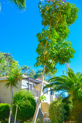 Similar image 19188658