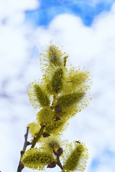 Similar image 19188693