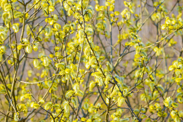 Similar image 19188694