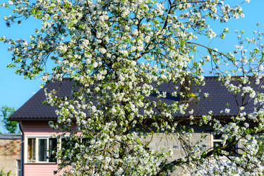 Similar image 19188713