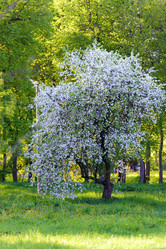 Similar image 19188716