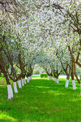 Similar image 19188735