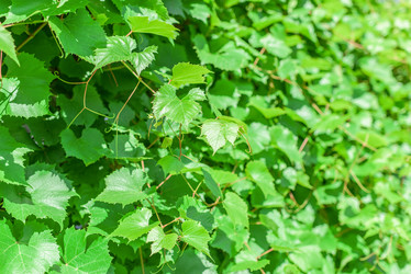 Similar image 19188737