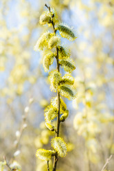 Similar image 19188798