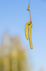 Similar image 19188799