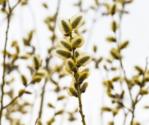 Similar image 19188800