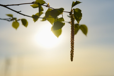 Similar image 19188763