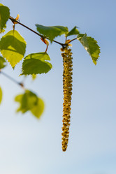 Similar image 19188764