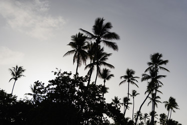 Similar image 19188765