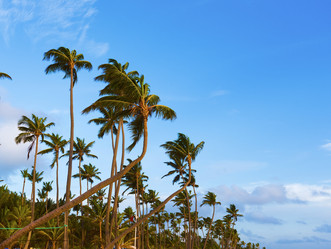 Similar image 19188776