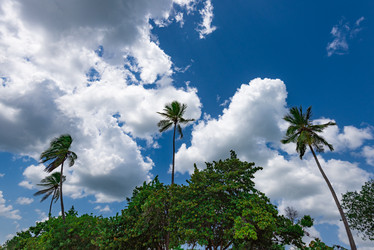 Similar image 19188777