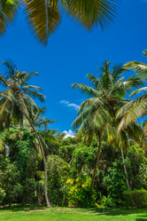 Similar image 19188778