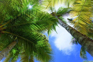 Similar image 19188779