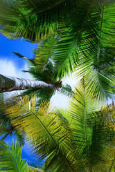 Similar image 19188818