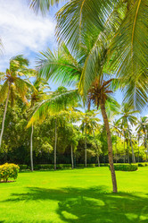 Similar image 19188834