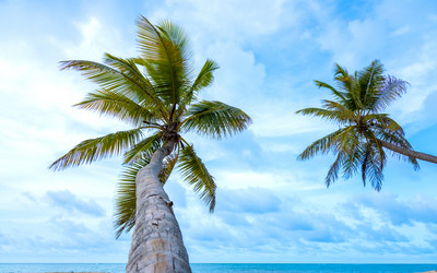 Similar image 19188835