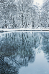 Similar image 19188836