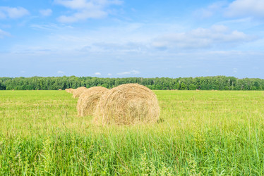 Similar image 19188899