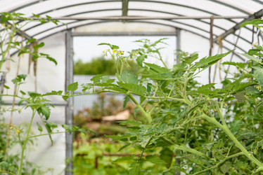 Similar image 19188920