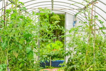 Similar image 19188922