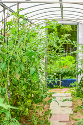 Similar image 19188923