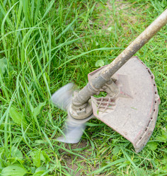 Similar image 19188955