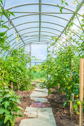 Similar image 19188986