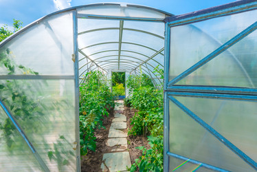 Similar image 19188990