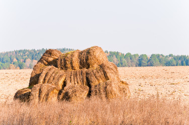 Similar image 19189004