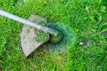 Similar image 19189009