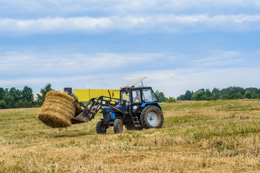 Similar image 19189010