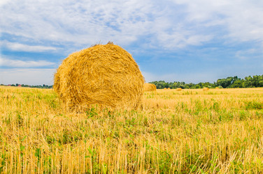 Similar image 19189011