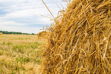 Similar image 19189042